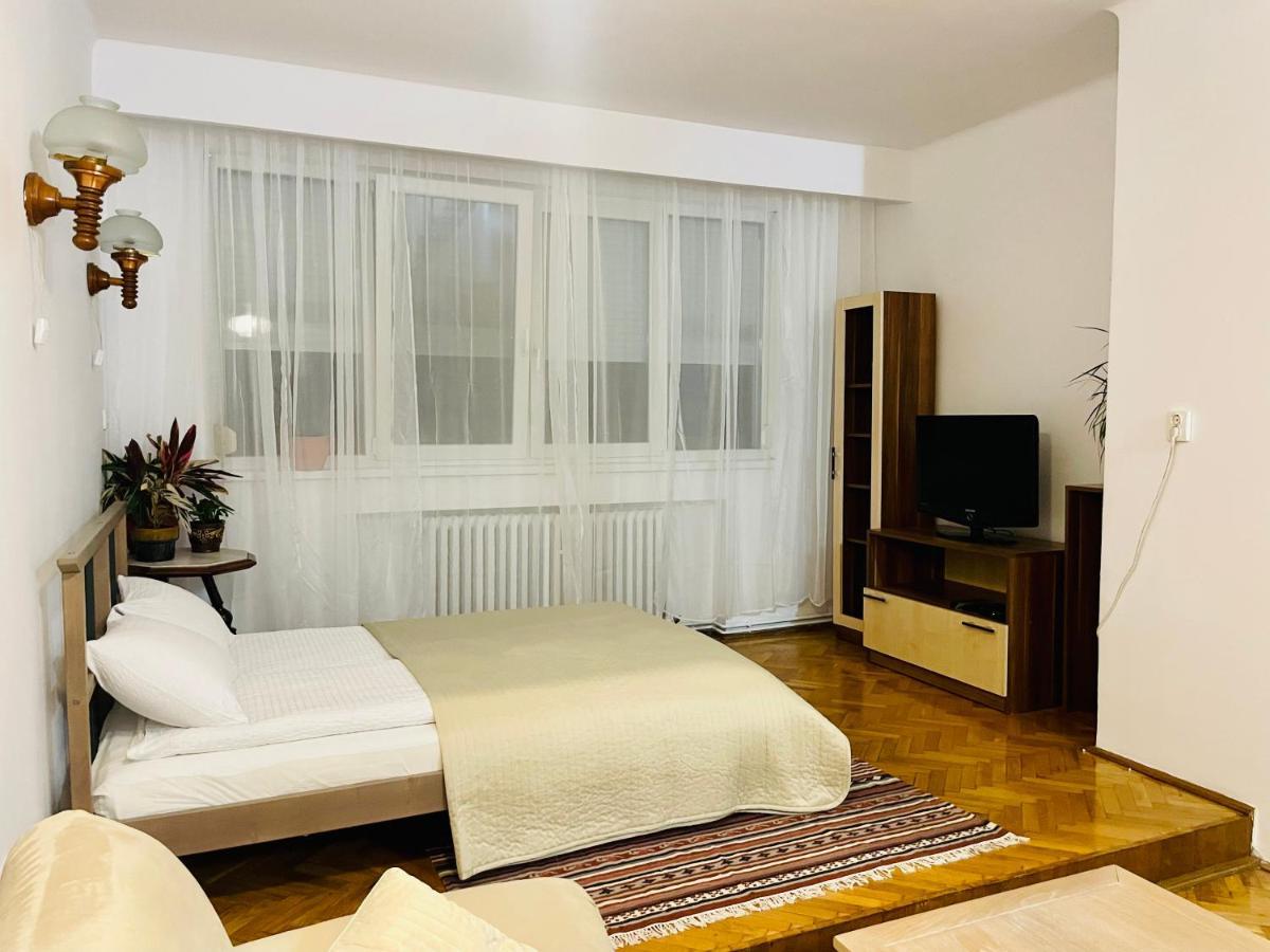 Apartamento Little Cute Central House Satu Mare Exterior foto