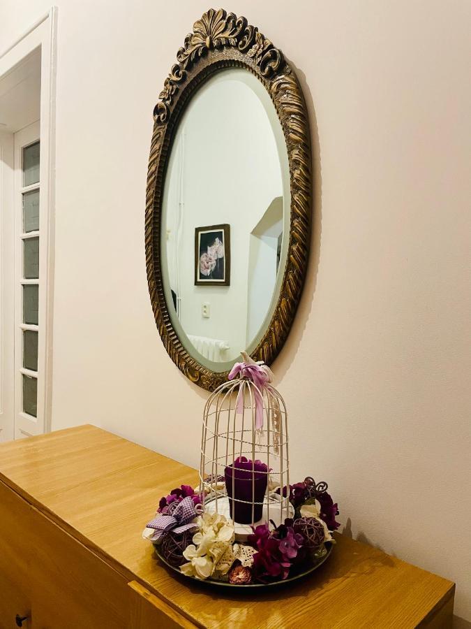Apartamento Little Cute Central House Satu Mare Exterior foto