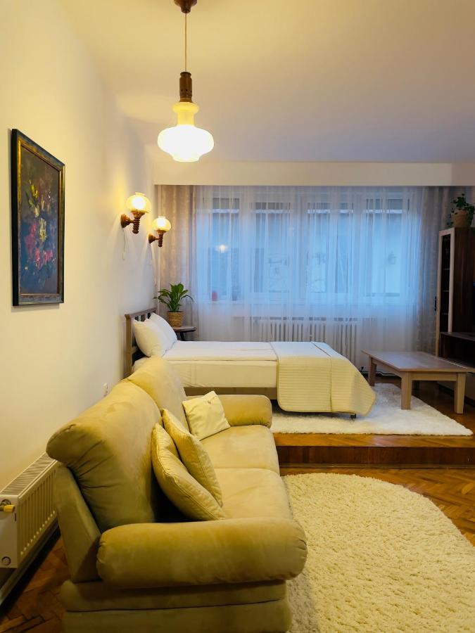 Apartamento Little Cute Central House Satu Mare Exterior foto