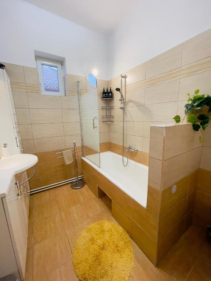 Apartamento Little Cute Central House Satu Mare Exterior foto